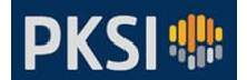 Pegasus Knowledge Solutions