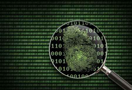 Introducing New Authentication Techniques to Prevent Synthetic ID Frauds